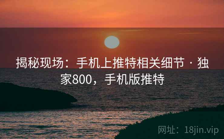 揭秘现场:手机上推特相关细节 · 独家800,手机版推特