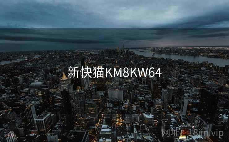 新快猫KM8KW64